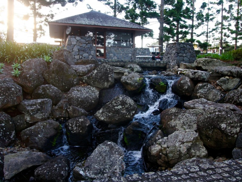 4108/1 Ross Street, Benowa QLD 4217