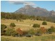 821 Upper Logan Road, Palen Creek QLD 4287