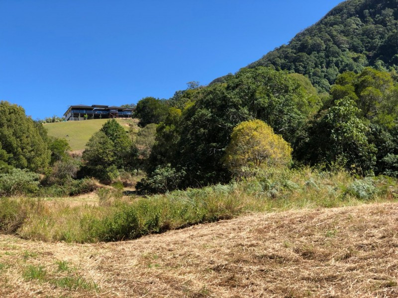 11 Denning Road, Currumbin Valley QLD 4223