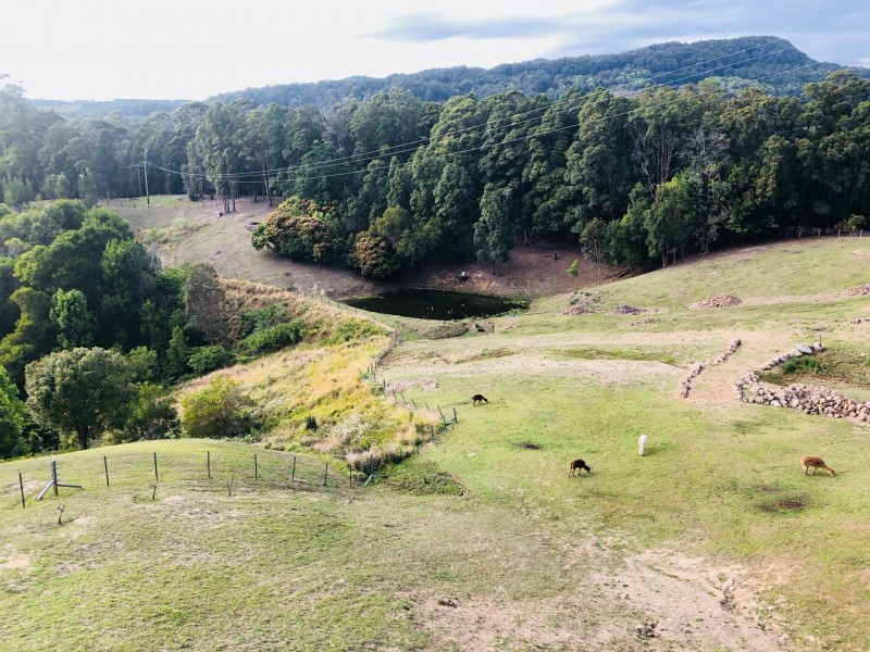 11 Denning Road, Currumbin Valley QLD 4223