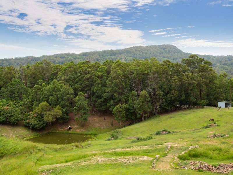 11 Denning Road, Currumbin Valley QLD 4223