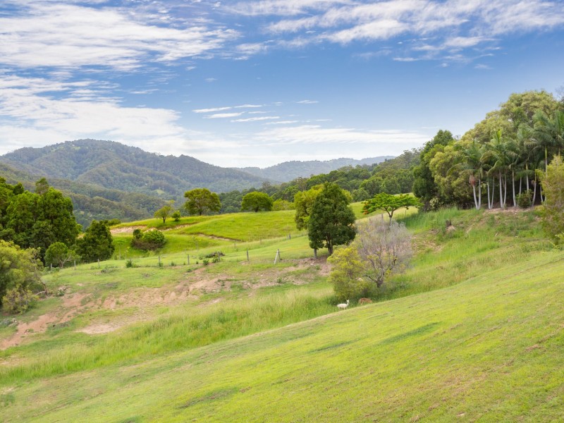 11 Denning Road, Currumbin Valley QLD 4223