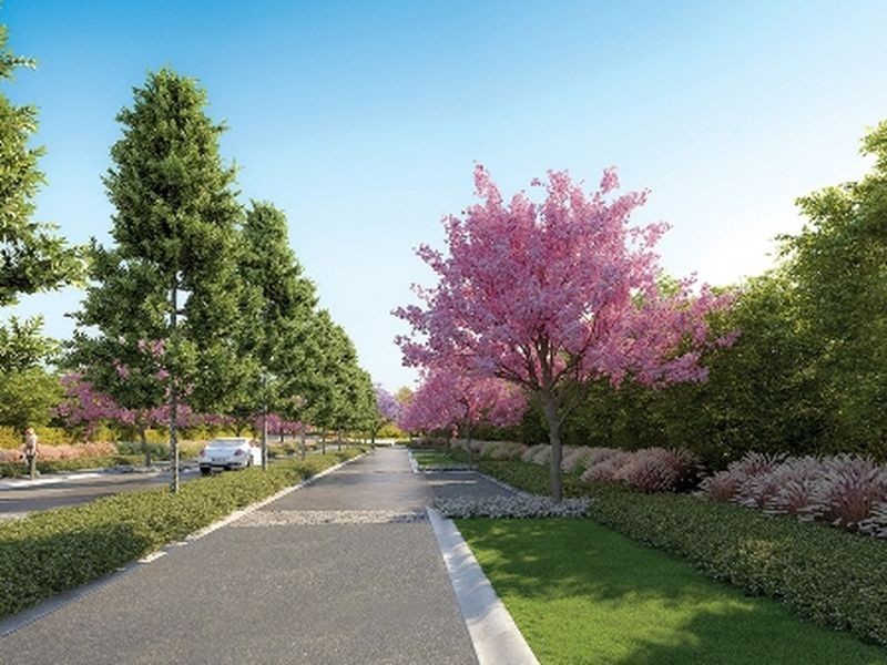 WATERPOINT 5 Harbour Side Court, Biggera Waters QLD 4216