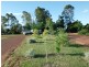 Warrego Ri 322 Weir Rd, Cunnamulla QLD 4490