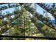 502/95 Old Burleigh Road, Broadbeach QLD 4218