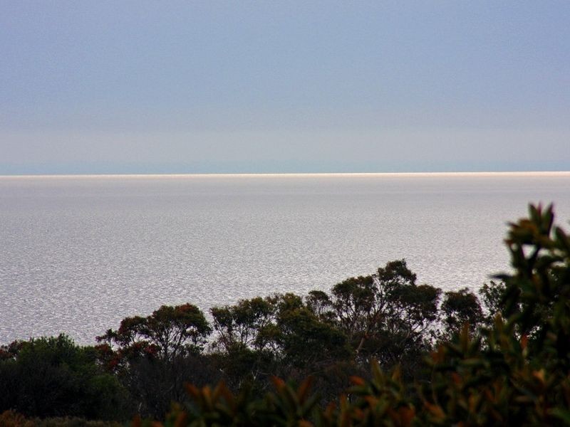 3/14 Tanti Avenue, Mornington VIC 3931