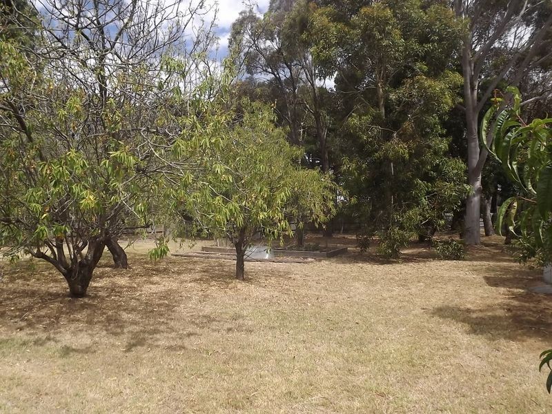 56 Shandon Street, Mornington VIC 3931