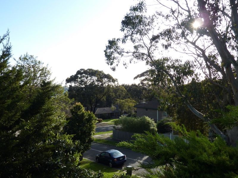 4 Shearwater Court, Mornington VIC 3931