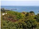 15 Craigrossie Road, Mornington VIC 3931