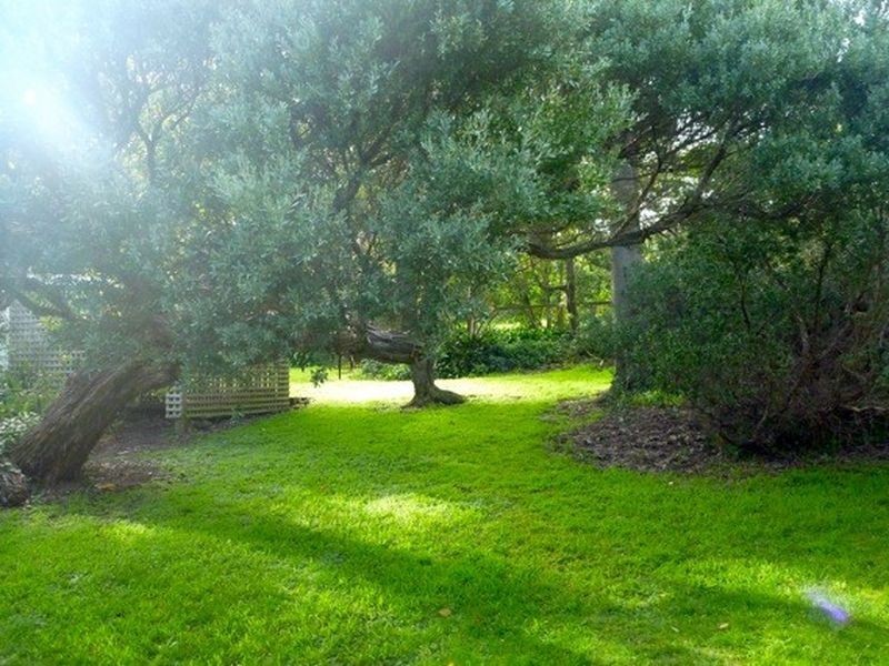 15 Craigrossie Road, Mornington VIC 3931