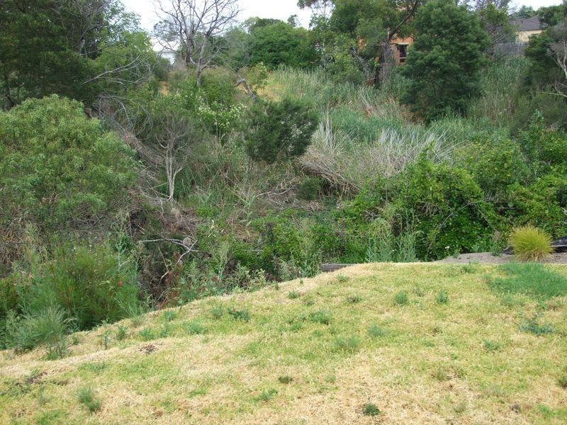 4/75 Herbert Street, Mornington VIC 3931