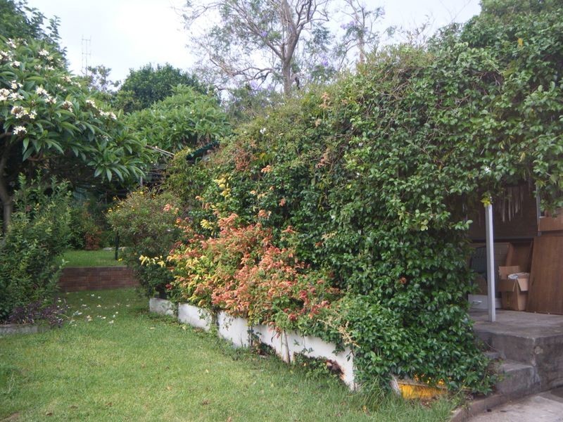 19 Keira Street, Wollongong NSW 2500