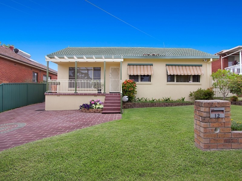 12 Premier St, Toongabbie NSW 2146