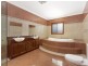 83 Smith Street, Wentworthville NSW 2145