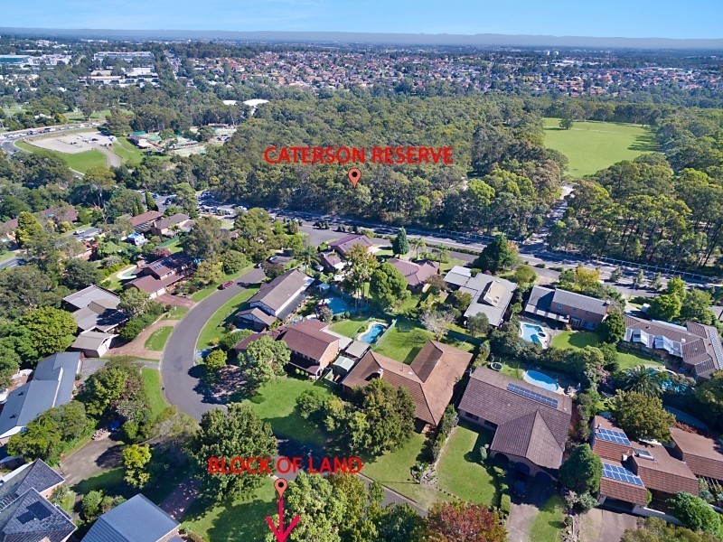 29 Arlington Avenue, Castle Hill NSW 2154