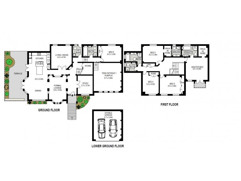1a Earl Street, Roseville NSW 2069 Floorplan