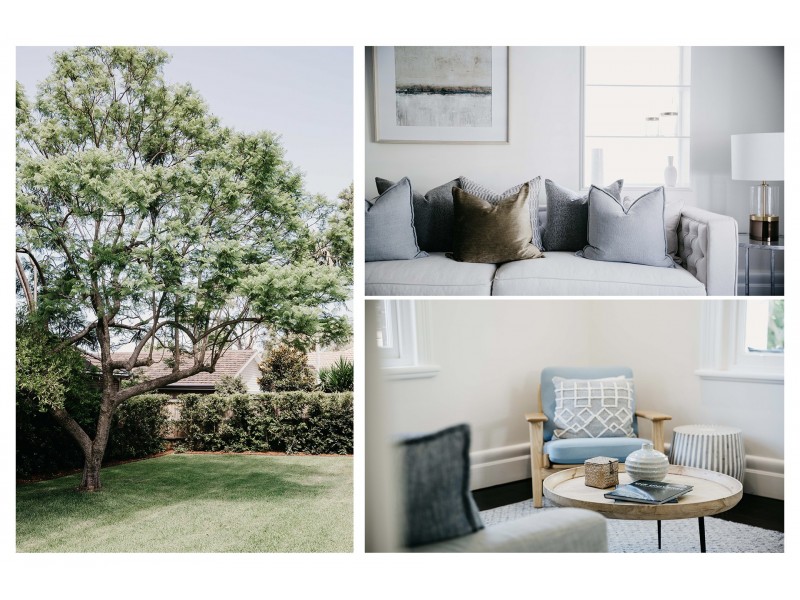 8 Carlos Road, Artarmon NSW 2064