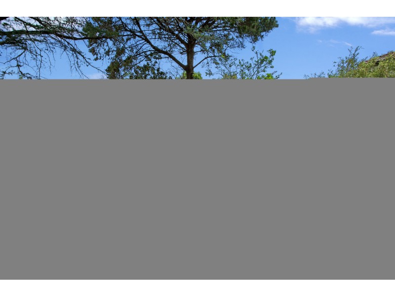 19 Carlos Road, Artarmon NSW 2064