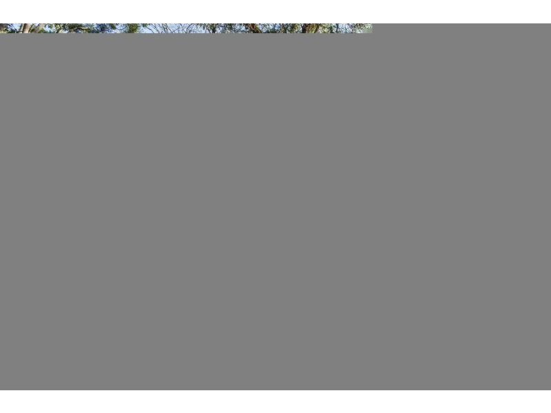 74 Laurel Street, Willoughby NSW 2068