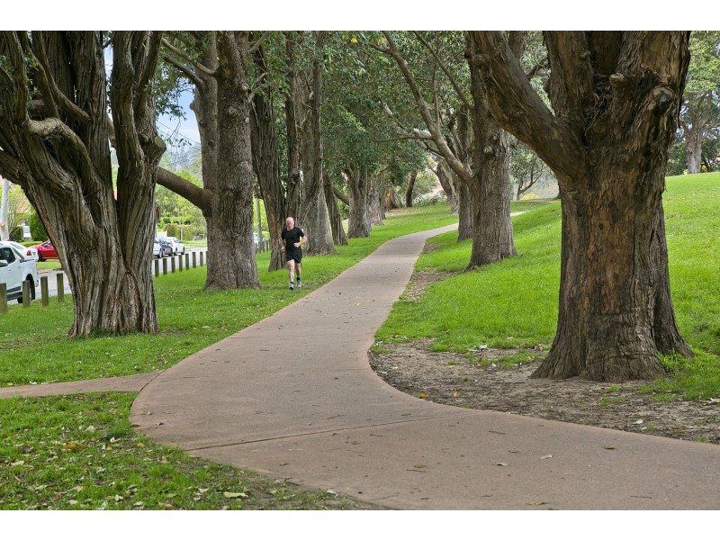 113 Mowbray Road, Willoughby NSW 2068