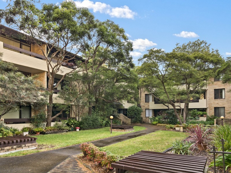 5/6 Buller Road, Artarmon NSW 2064