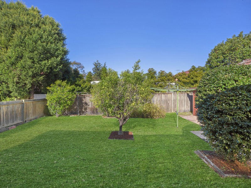 56 Edinburgh Road, Willoughby NSW 2068