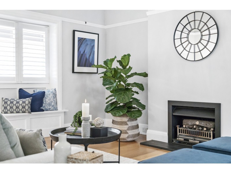 103 Sydney Street, Willoughby NSW 2068