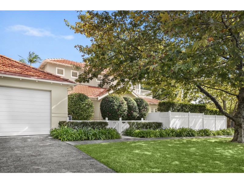 36 Ann Street, Willoughby NSW 2068