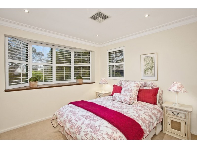 41 Cambridge Street, Willoughby NSW 2068