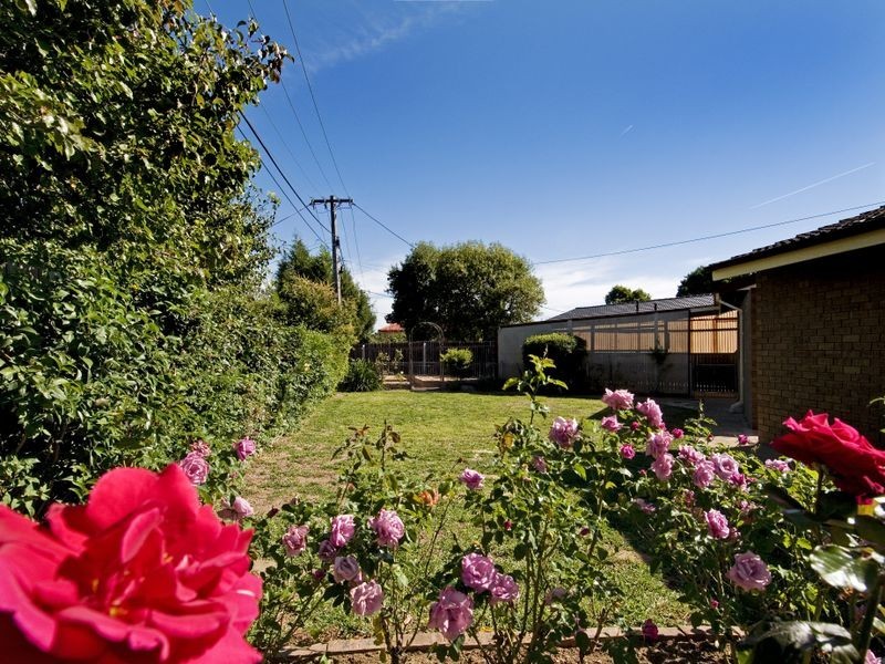 53 Gascoyne Circuit, Kaleen ACT 2617