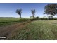 1 Canola Place, Murrumbateman NSW 2582