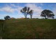 1 Canola Place, Murrumbateman NSW 2582