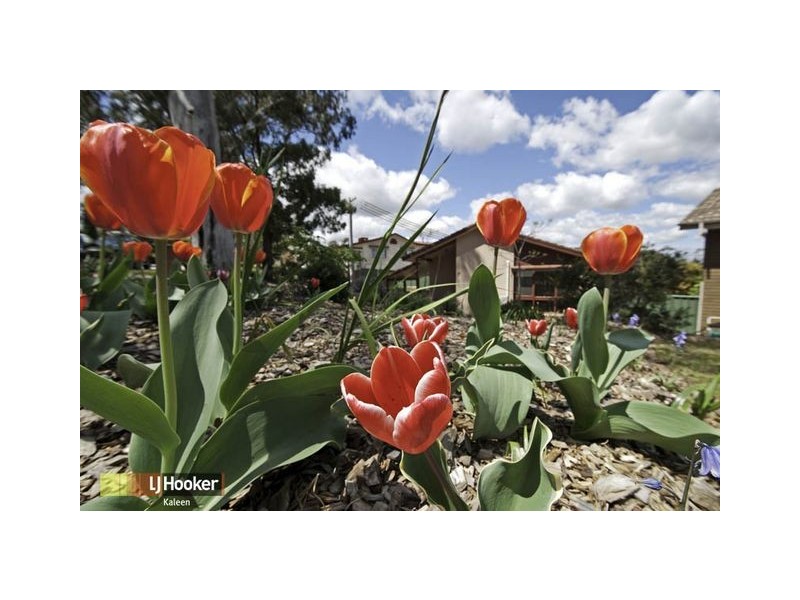 7 Horsley Crescent, Melba ACT 2615