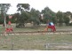 8 Maynard Street, Ngunnawal ACT 2913