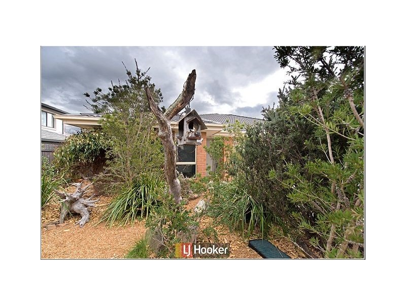 25 Dagmar Berne Street, Macgregor ACT 2615