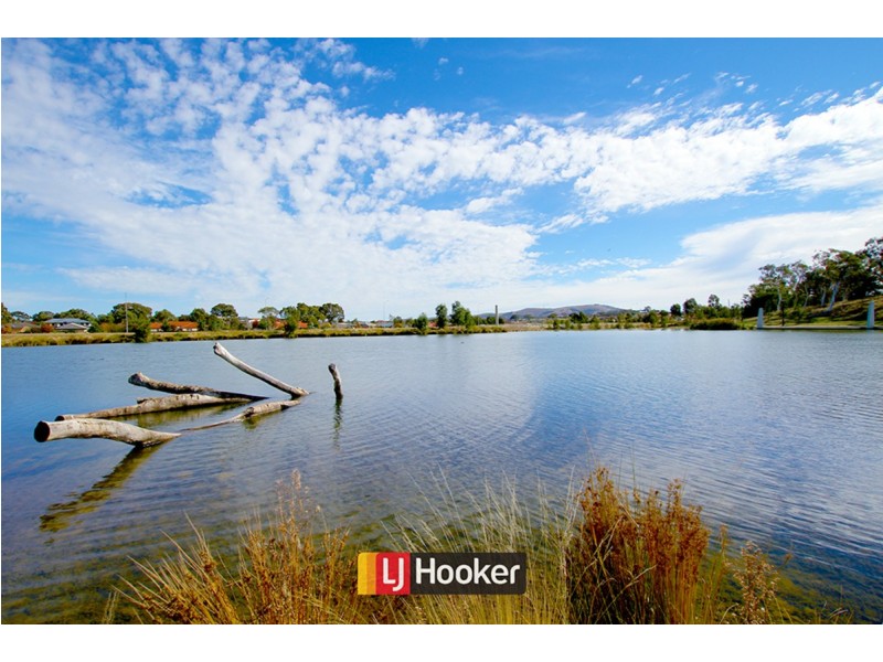 56 Max Purnell Street, Forde ACT 2914