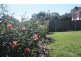 27 Crawford Crescent, Flynn ACT 2615