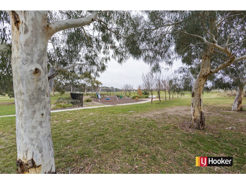 8 Iterra Grove, Ngunnawal ACT 2913