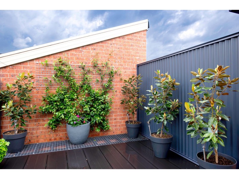 42/15 John Cleland Crescent, Florey ACT 2615