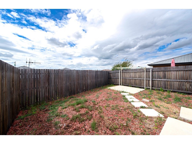 18/141 Macfarlane Burnett Avenue, Macgregor ACT 2615