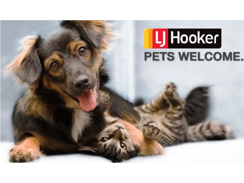 87 Alberga Street, Kaleen ACT 2617