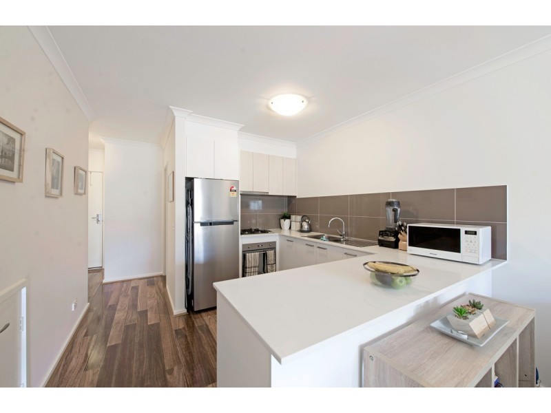 116 Mapleton Avenue, Harrison ACT 2914