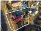 1 Tucana Street, Giralang ACT 2617