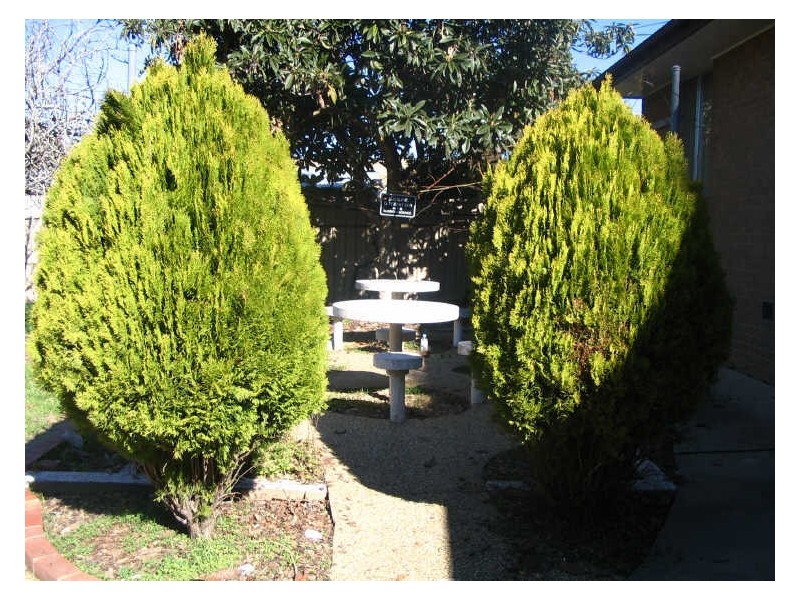 26 Wrixon Street, Latham ACT 2615