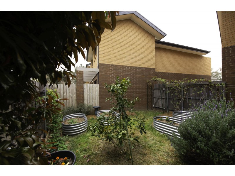 5/23 Tay Street, Watson ACT 2602