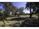 96 Grayson Street, Hackett ACT 2602