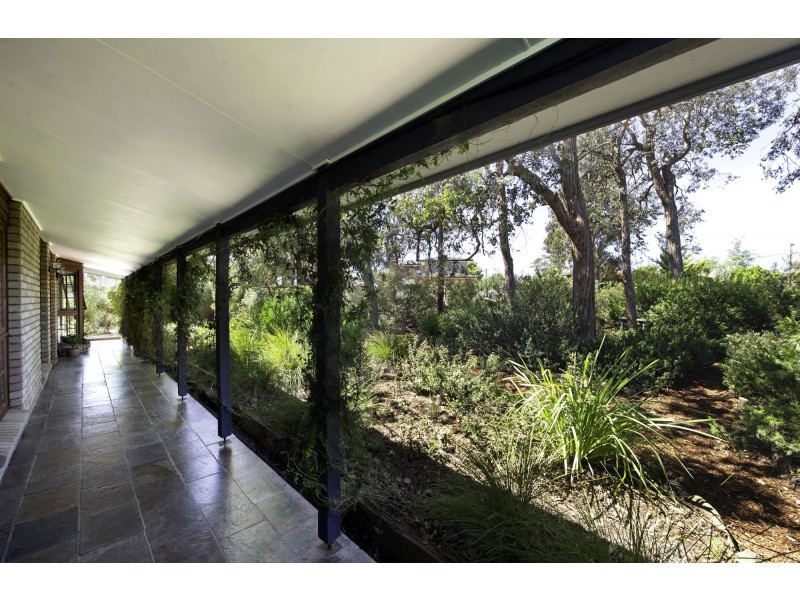 77 Tyrrell Circuit, Kaleen ACT 2617