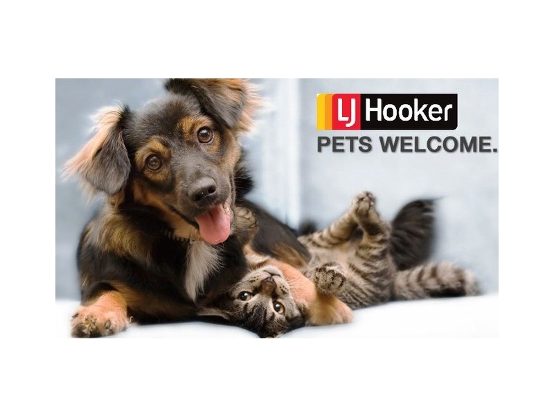 25 Skardon Street, Kaleen ACT 2617