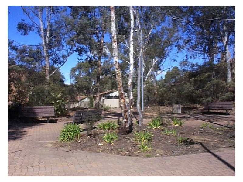 25/31 Disney Court, Belconnen ACT 2617