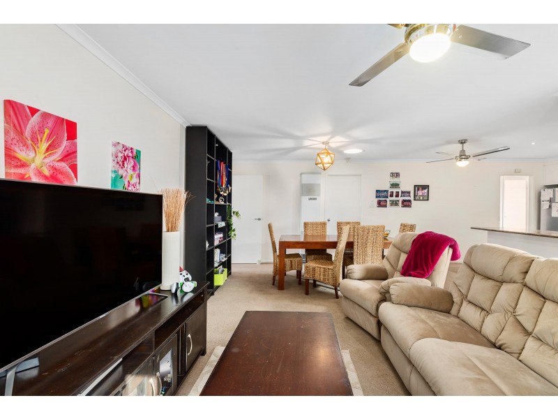 39 Dagmar Berne Street, Macgregor ACT 2615